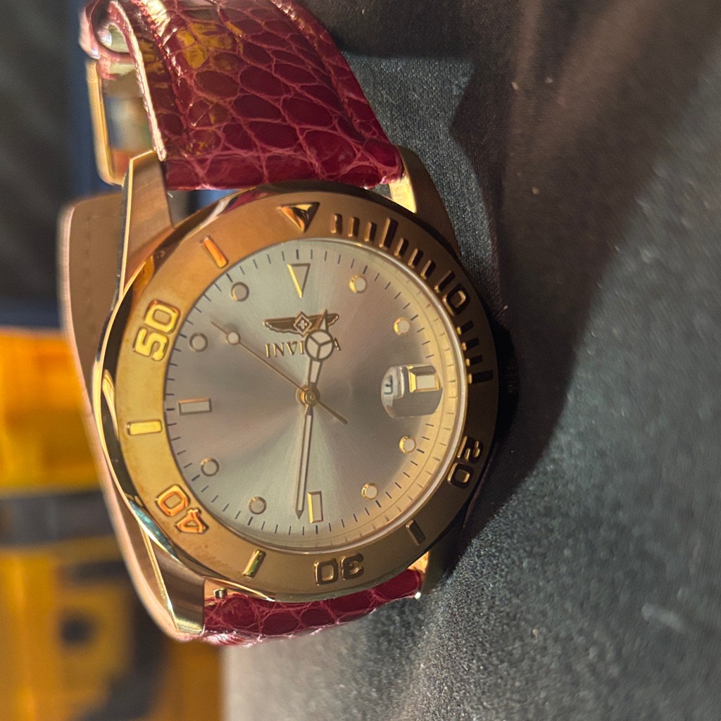Invicta 10231 Pro Diver 45mm Swiss Quartz Watch, Gold-Tone Case & Silver Dial
